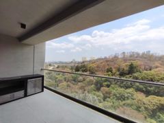 Departamento Realeza Bosque Real foto 6